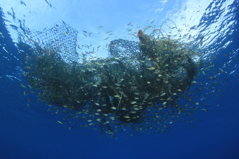 Océanos han llegado al límite por sobrepesca : ICML