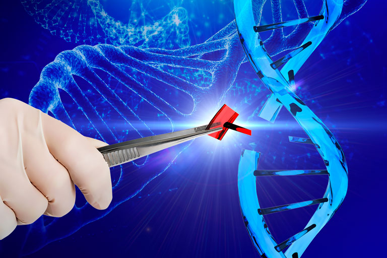 Con ingeniería genética muy fina se puede alterar un gen, quitarlo o cambiarlo.