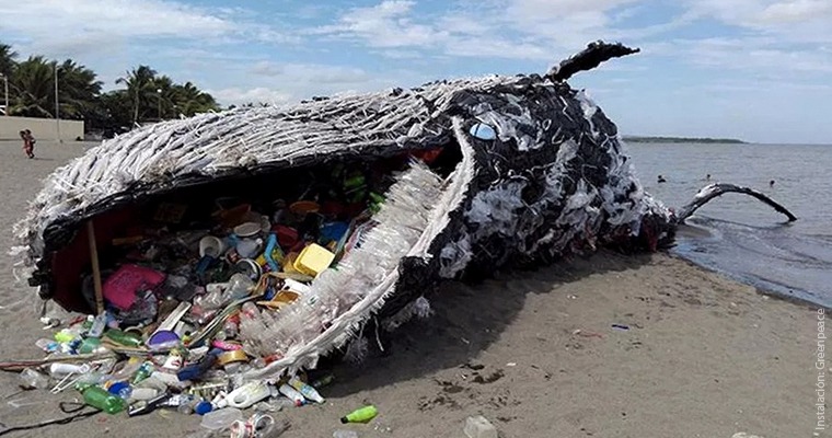 Raramente fecha Arquitectura Botellas y bolsas de plástico contaminan playas y mares - Gaceta UNAM