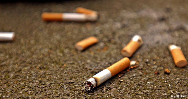 Colillas de cigarro contaminan más que popotes - Gaceta UNAM