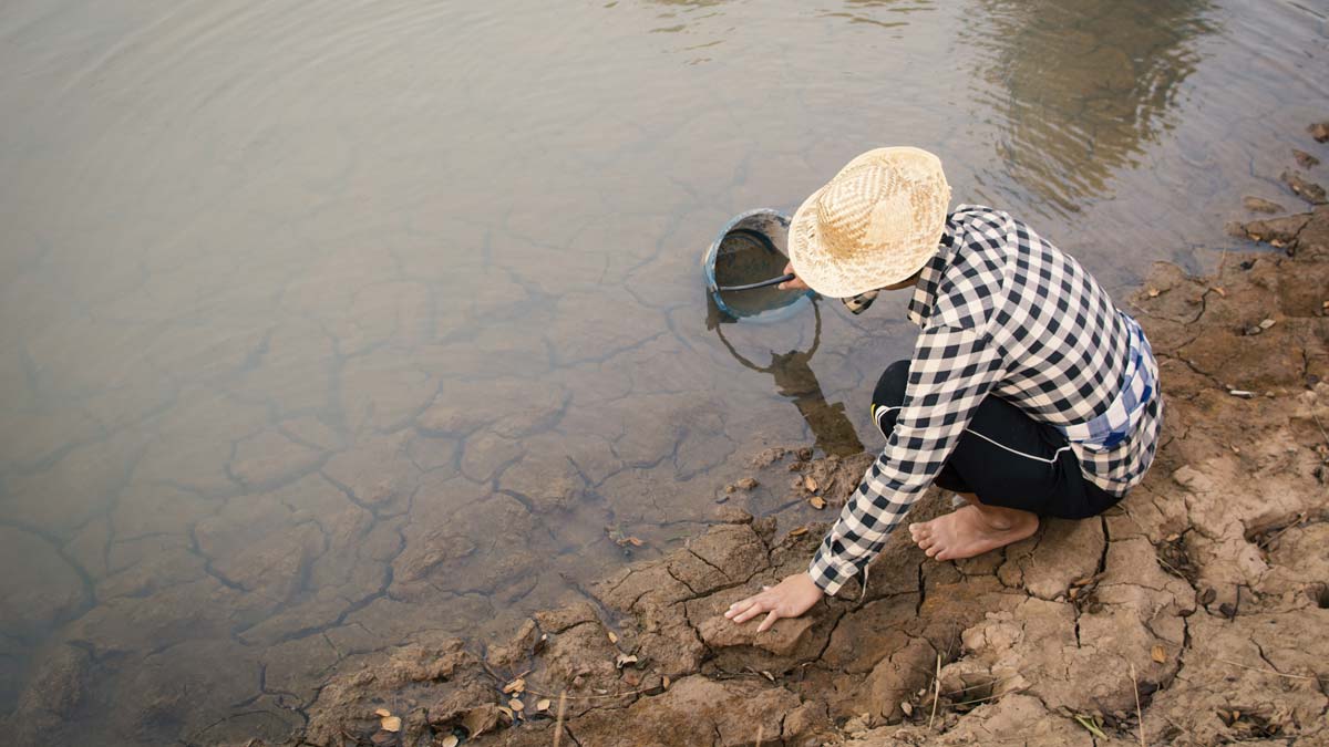 México experimenta escasez de agua y falta de equidad en su distribución -  Gaceta UNAM