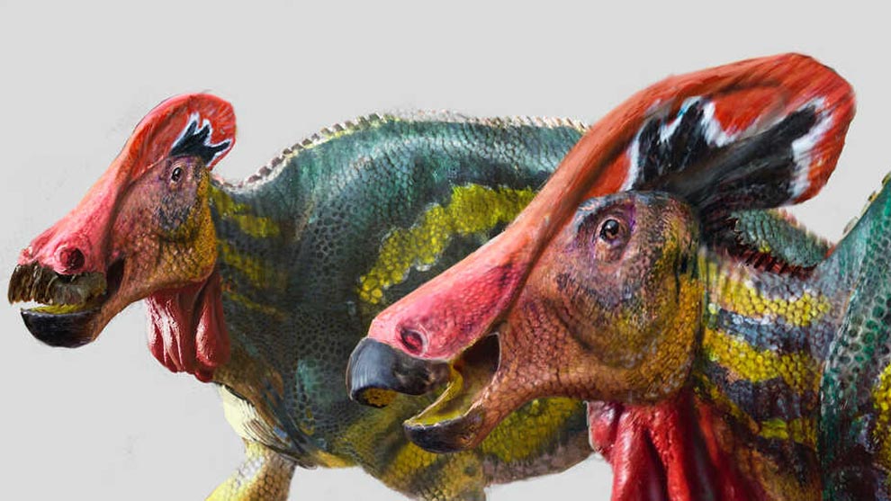 Hallaron dinosaurio de gran tamaño en Coahuila - Gaceta UNAM