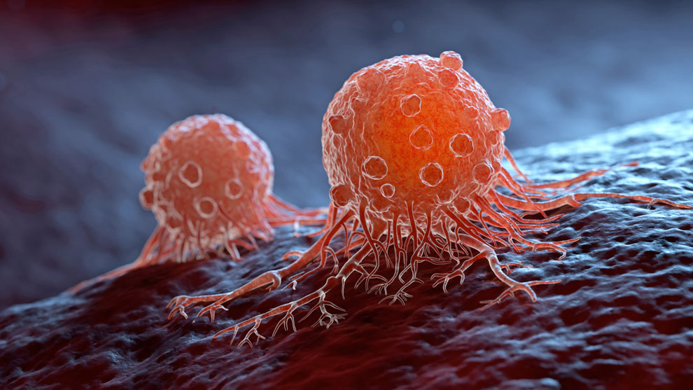 Indagan el origen del cáncer en células troncales - Gaceta UNAM