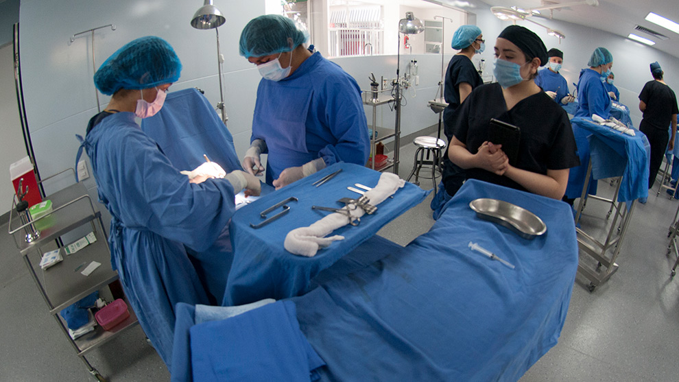 Actualizan Especialización en Cirugía Plástica, Estética y